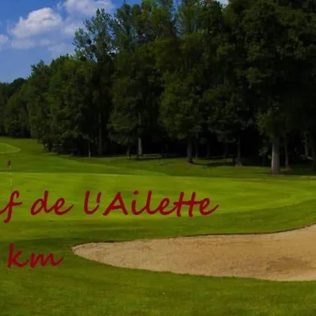 Les Oiseaux De Passage Chaillevois