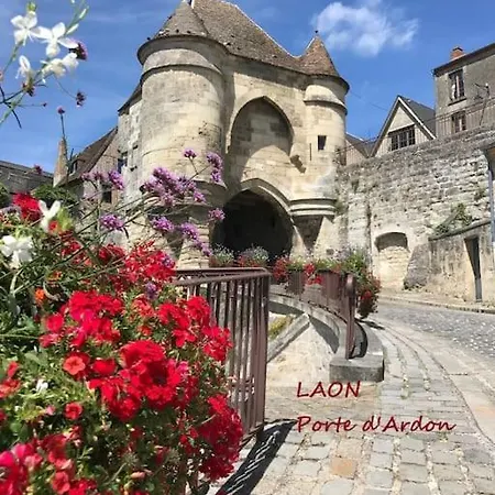 Les Oiseaux De Passage Chaillevois