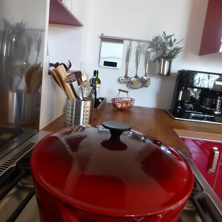 Les Oiseaux De Passage * Chaillevois