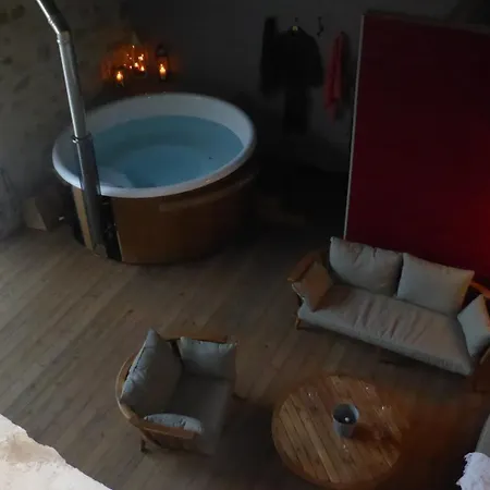 Les Oiseaux De Passage Chaillevois