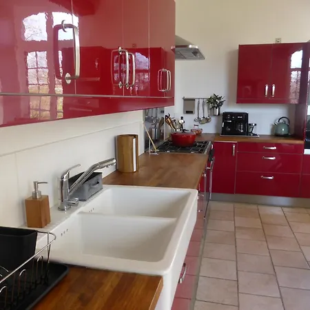 Les Oiseaux De Passage