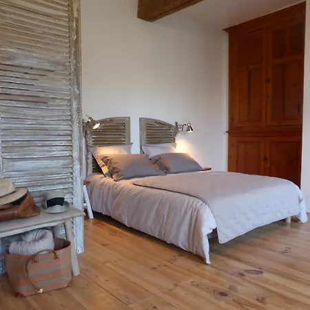 Les Oiseaux De Passage